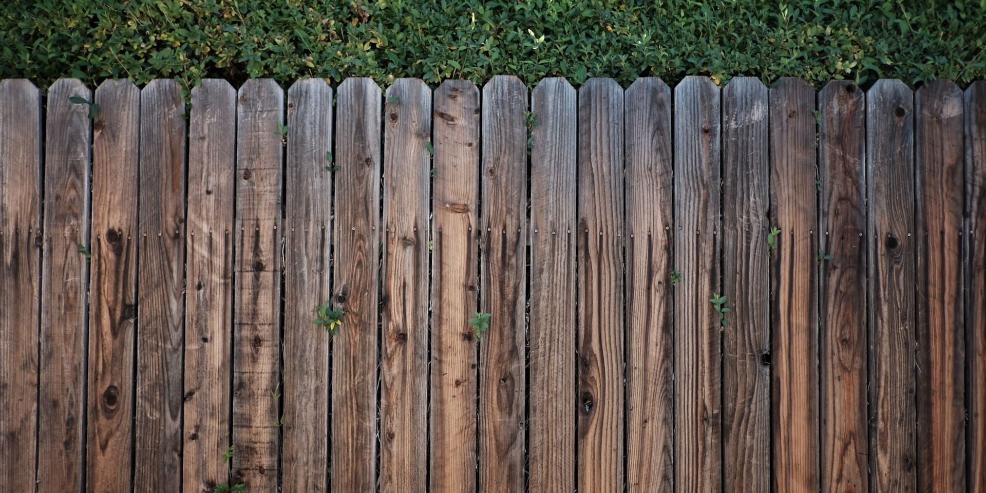 Fences by Hawk Concrete LLC in Griffin, GA