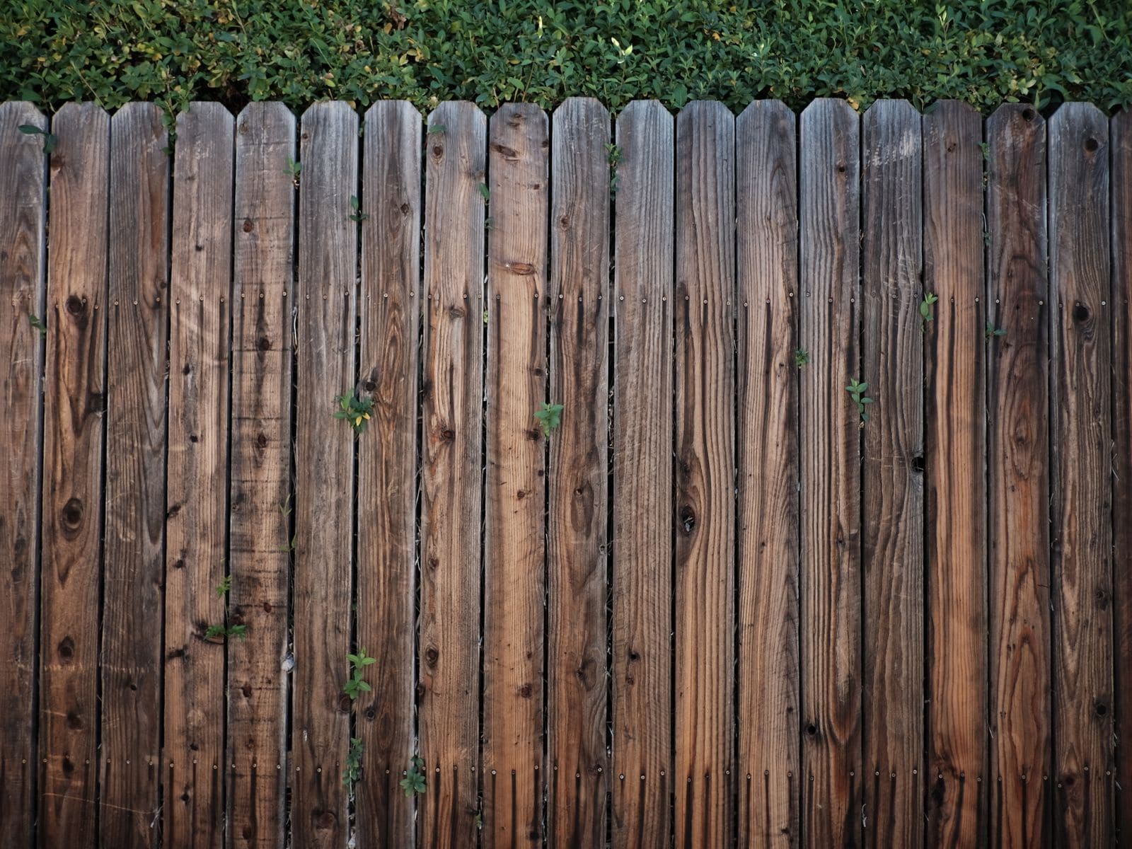 Fences by Hawk Concrete LLC